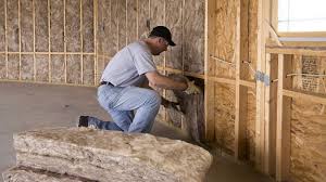 Best Wall Insulation Installation  in Maryvle, IL